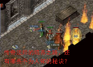 ���淨ʦ������֮·��������Щ��Ϊ��֪���ؾ���