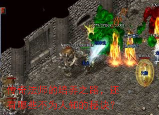 ���淨ʦ������֮·��������Щ��Ϊ��֪���ؾ���