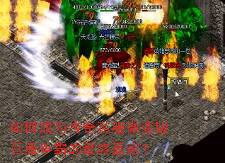 ��γ�Ϊ����˽��΢���ٷ����Ե�����Ӯ�ң�