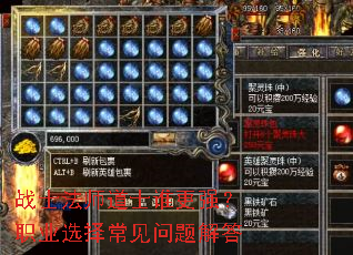 սʿ��ʦ��ʿ˭��ǿ��ְҵѡ�񳣼�������