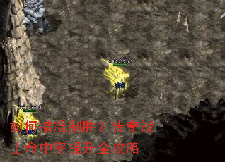 ��ξ�׼��ʤ������սʿ����������ȫ����