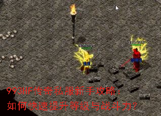 993HF����˽�����ֹ��ԣ���ο��������ȼ���ս������