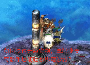 ��ο������������ְҵ��������Ҳ�����ɳư�ɳ�ǣ�