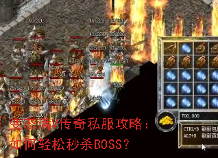 ��̬��V����˽�����ԣ����������ɱBOSS��