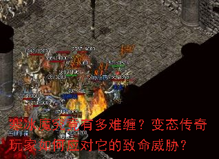 ����ħ�����ж��Ѳ�����̬����������Ӧ������������в��