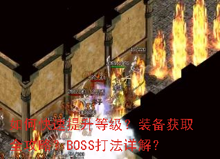 ��ο��������ȼ���װ����ȡȫ���ԣ�BOSS����⣿