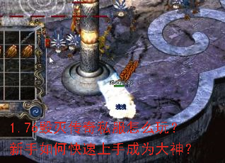 1.76������˽����ô�棿������ο������ֳ�Ϊ����