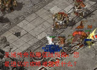 圣域传奇私服征战指南:您最迫切的攻略难题是什么? 圣域传奇私服征战指南:您最迫切的攻略难题是什么?