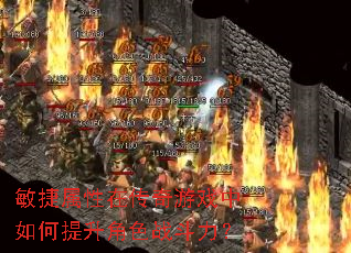 敏捷属性在传奇游戏中如何提升角色战斗力? 敏捷属性在传奇游戏中如何提升角色战斗力?