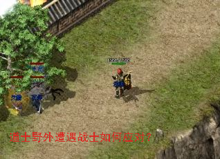 道士野外遭遇战士如何应对? 道士野外遭遇战士如何应对?