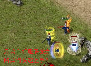 兄弟们新服屠龙之路如何快速上手? 兄弟们新服屠龙之路如何快速上手?
