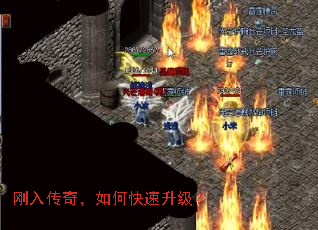 ���봫�棬��ο���������