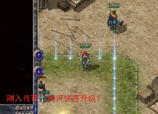 ���봫�棬��ο���������