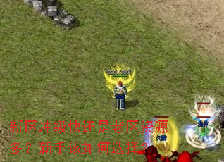 新区冲级快还是老区资源多?新手该如何选择? 新区冲级快还是老区资源多?新手该如何选择?