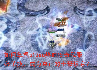 �������513au��Ѫ����˽����ɱ������Ϊ������������ң�