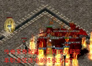 传奇至尊秘籍:如何成为超变单职业征途中的终极王者? 传奇至尊秘籍:如何成为超变单职业征途中的终极王者?