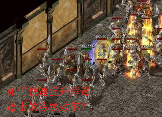 如何快速提升群毒道士的练级效率? 如何快速提升群毒道士的练级效率?