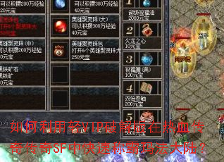 如何利用轻VIP破解版在热血传奇传奇SF中快速称霸玛法大陆? 如何利用轻VIP破解版在热血传奇传奇SF中快速称霸玛法大陆?