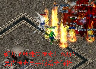 �¿�ʥ����ʧ������ô�棿���Ŵ�������ؼ�ȫ����
