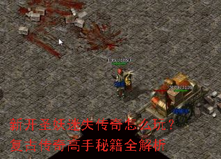 �¿�ʥ����ʧ������ô�棿���Ŵ�������ؼ�ȫ����