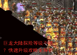������½̽�յȼ�������������������ȫ����
