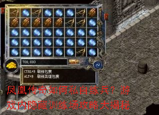 凤凰传奇如何私自练兵?游戏内隐藏训练场攻略大揭秘 凤凰传奇如何私自练兵?游戏内隐藏训练场攻略大揭秘