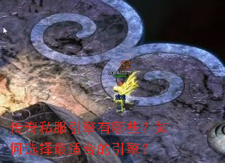 ����˽����������Щ�����ѡ�����ʺϵ����棿