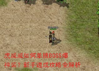 ��������ε���BOSS����װ�������ٳɹ���ȫ����