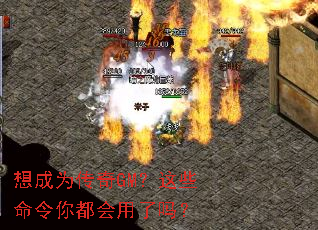 想成为传奇GM?这些命令你都会用了吗? 想成为传奇GM?这些命令你都会用了吗?