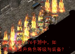 ���Ŵ���1.76�����У���ο���������ɫ�ȼ���װ����