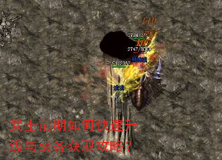 武士前期如何快速升级与装备获取攻略? 武士前期如何快速升级与装备获取攻略?