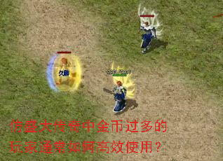 仿盛大传奇中金币过多的玩家通常如何高效使用? 仿盛大传奇中金币过多的玩家通常如何高效使用?