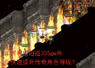 ���������ң335gm����������������ɫ�ȼ���