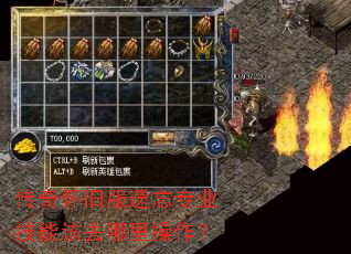 传奇怀旧服遗忘专业技能该去哪里操作? 传奇怀旧服遗忘专业技能该去哪里操作?