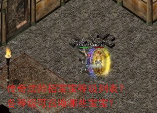 传奇法师招宝宝等级列表?各等级可召唤哪些宝宝? 传奇法师招宝宝等级列表?各等级可召唤哪些宝宝?