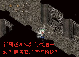 新霸道2024如何快速升级?装备获取有何秘诀? 新霸道2024如何快速升级?装备获取有何秘诀?