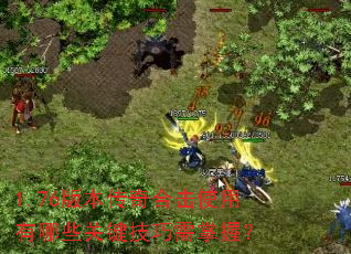1.76�汾����ϻ�ʹ������Щ�ؼ����������գ�