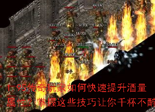 1.95传奇玩家如何快速提升酒量属性?掌握这些技巧让你千杯不醉 1.95传奇玩家如何快速提升酒量属性?掌握这些技巧让你千杯不醉