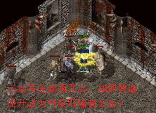 三端青莲新服开启,如何快速提升战力与获取稀有装备? 三端青莲新服开启,如何快速提升战力与获取稀有装备?